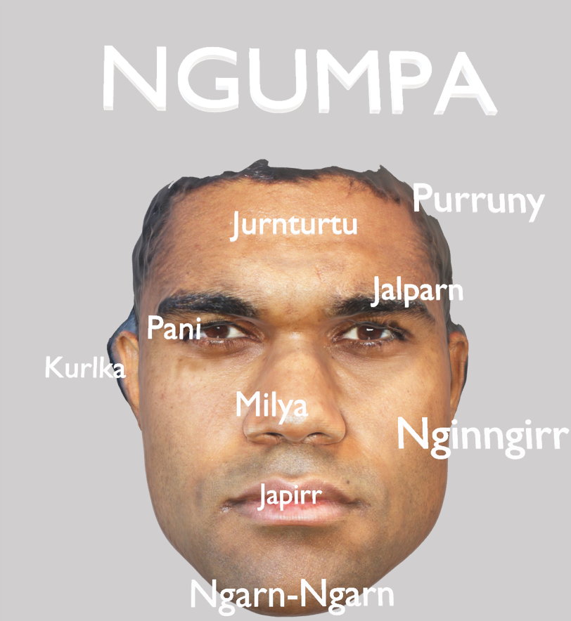 Pilbara Faces 3D facial image